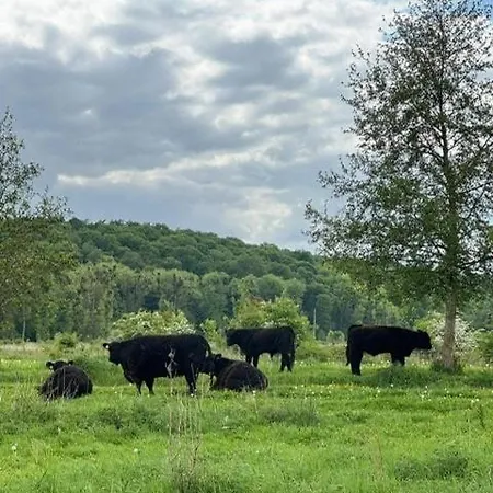 Bless Valkenburg 度假居 法尔肯堡