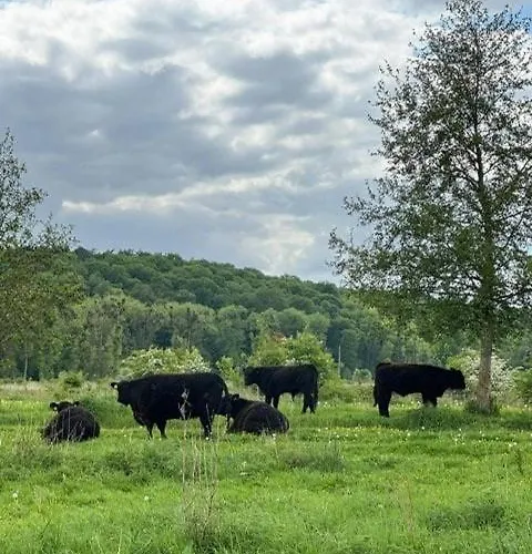 Bless Valkenburg Vakantiehuis Valkenburg aan de Geul